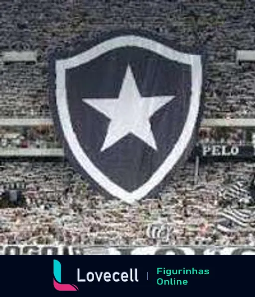 Escudo do Botafogo em preto e branco, com estrela branca centralizada em fundo preto, em um estádio cheio de torcedores ao fundo