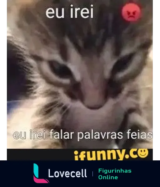 Imagem de um gato com expressão zangada, com o texto 'eu irei' e 'eu irei falar palavras feias', representando um meme divertido.