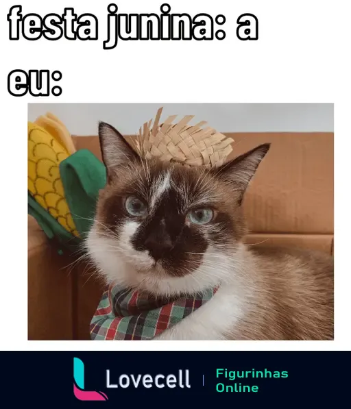 Gato com chapéu de palha e lenço de festa junina, com expressão adorável. Legenda: 'festa junina: a eu:'.