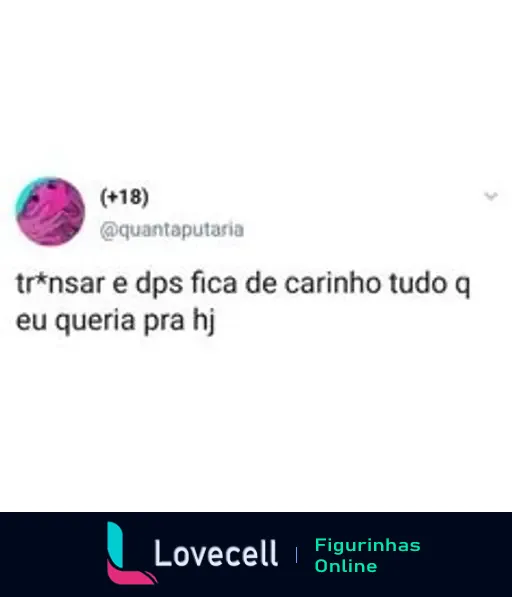 Tweet com tom humorístico que menciona a ideia de transar e depois ficar de carinho, perfeito para quem busca leveza nas relações. Título: 'tr*nsar e dps ficar de carinho'. Tags: 'transar e dps ficar de carinho, pesadas'.