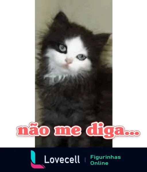 Figurinha de WhatsApp de gato preto e branco com expressão séria e cômica e texto 'não me diga...' em letras brancas indicando sarcasmo