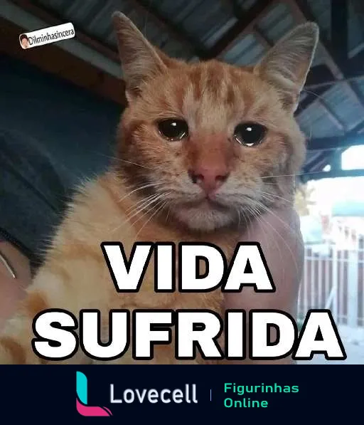 Figurinha de gato laranja com expressão triste e a frase 'VIDA SOFRIDA' em letras maiúsculas, representando desafios enfrentados de forma humorística