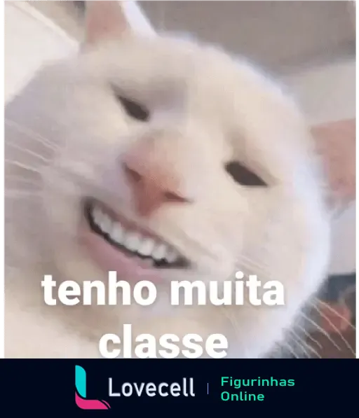 Gato branco com um sorriso editado e o texto 'tenho muita classe', da coleção gatinhos apaixonados fofos.