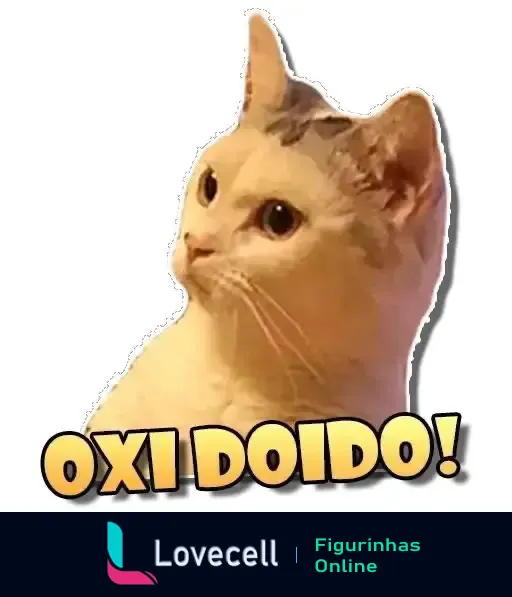 Um gato branco com manchas que parece surpreso, acompanhado do texto 'OXI DOIDO!' na parte inferior da imagem.