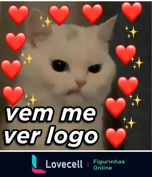 Gif de um gato branco com várias animações de corações e estrelas brilhantes ao redor. Texto na imagem: 'vem me ver logo'. Imagem carinhosa e fofa utilizada para mandar indiretas amorosas.