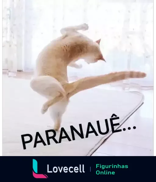 Gato alaranjado em pose de capoeira com a palavra PARANAUÊ destacada