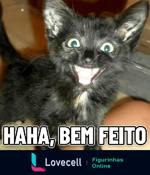 GATINHOS EXPRESSIVOS - Gatinho preto com expressão facial engraçada, olhos arregalados e sorriso largo, com texto 'HAha, Bem Feito' na imagem.