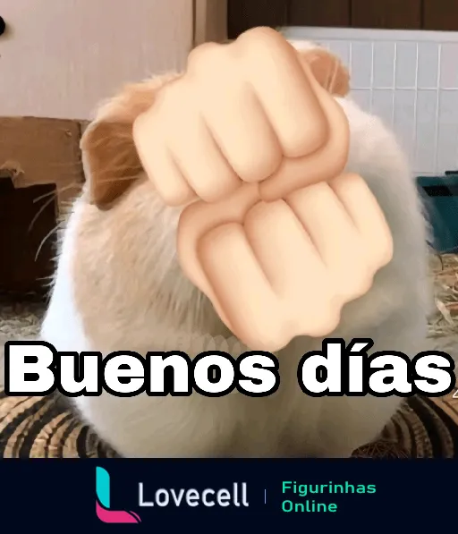 Um animal fofinho de costas, com um emoji de soco na frente, acompanhado do texto 'Buenos días', ideal para enviar mensagens de bom dia de forma fofa.