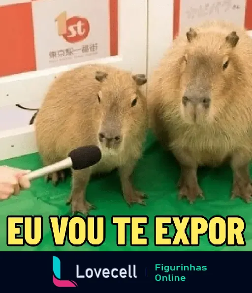 Figurinha engraçada com duas capivaras sendo entrevistadas e o texto 'EU VOU TE EXPOR'. Cena hilária que traz humor para as conversas.