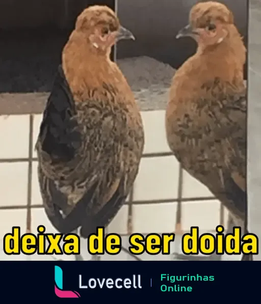 Galinha se olhando no espelho com a frase 'deixa de ser doida' embaixo, da coleção galinhas sinceras.