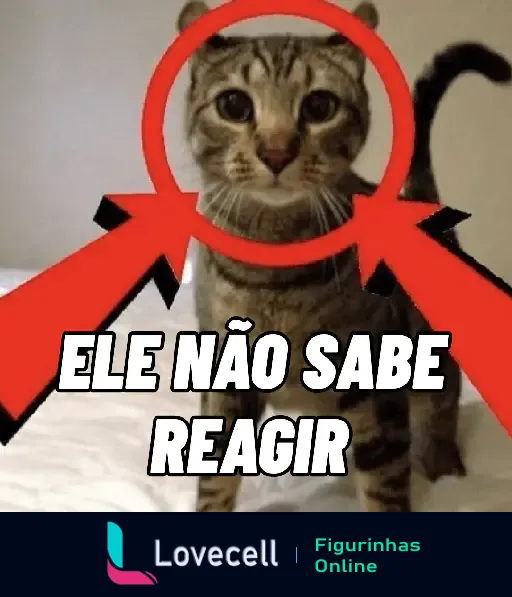 Gato parado em uma cama com uma mira vermelha sobre ele. Texto sobreposto diz: 'ELE NÃO SABE REAGIR'.