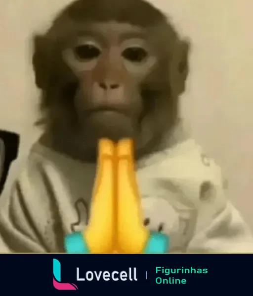 GIF engraçado de macaco fazendo gesto de oração com as mãos juntas, perfeito para expressar sentimento de prece ou súplica.