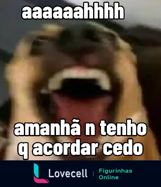 Cachorro comemora porque não precisa acordar cedo amanhã - Memes de férias e descanso