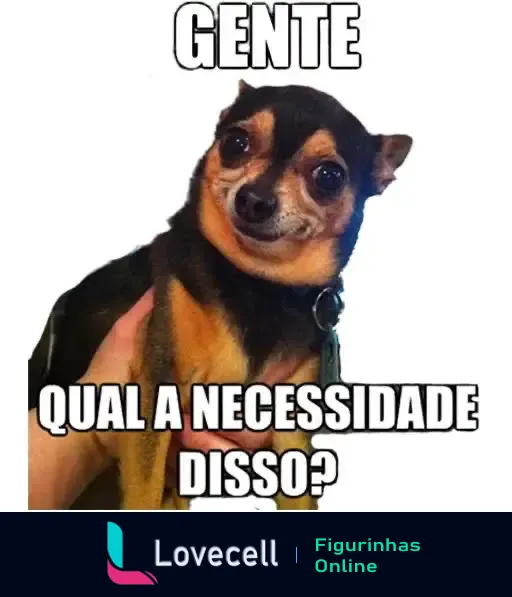 Imagem de um cachorro pequeno com expressão curiosa, segurando na mão de uma pessoa. Texto em destaque: 'GENTE QUAL A NECESSIDADE DISSO?'