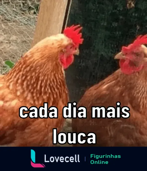 Duas galinhas com ornamentos vermelhos se encarando com olhar sério e texto 'cada dia mais louca'. Ideal para situações inusitadas.