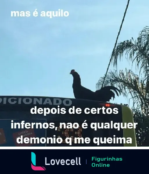 Figurinha de galinha reflexiva no ônibus com frase sobre superar dificuldades