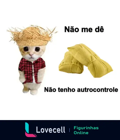 Gato com chapéu de palha e camisa xadrez segurando pamonha - Festa Junina Meme