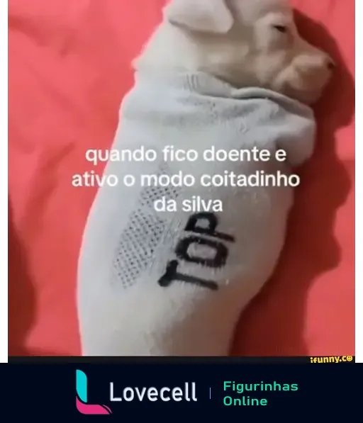 Cachorro dormindo com cobertor, texto sobre o modo coitadinho, título 'quando fico doente e ativo o modo coitadinho da silva'.