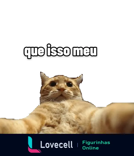 Figurinha de gato surpreso com patas estendidas e texto 'que isso meu'