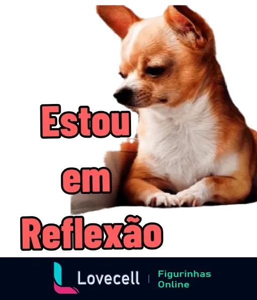 Figurinha de WhatsApp mostrando um cachorro Chihuahua pensativo com patas cruzadas e a frase 'Estou em Reflexão' na parte superior