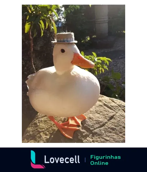 Pato branco com chapéu de palha posando em uma rocha ao sol, com folhas verdes ao fundo