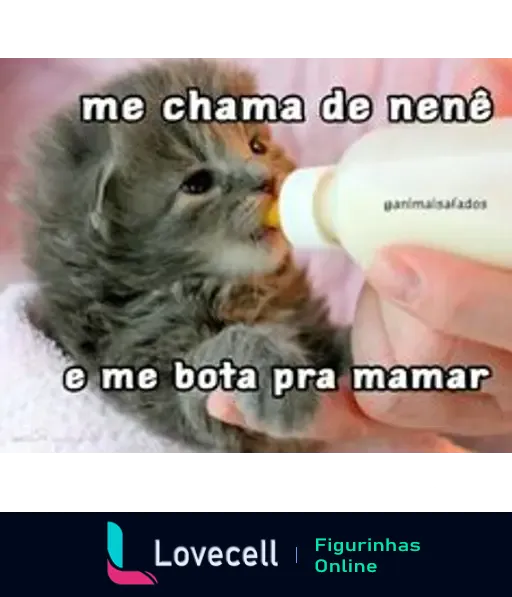 Gato pequeno sendo alimentado com mamadeira. Texto: 'me chama de nenê e me bota pra mamar'.