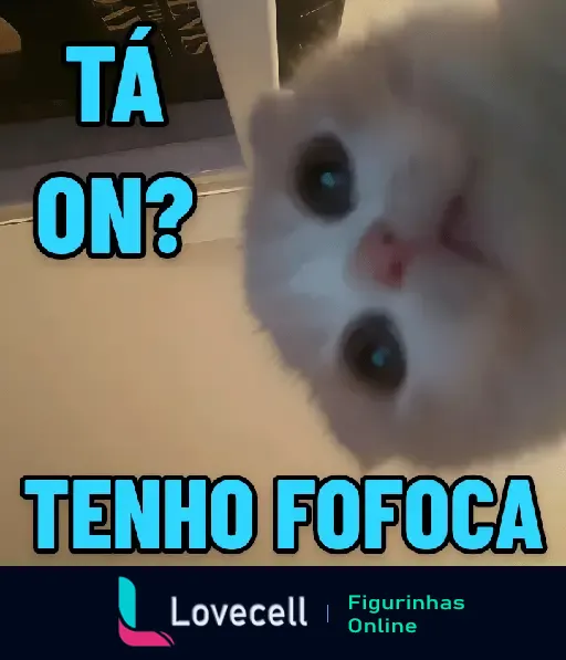 GATINHOS EXPRESSIVOS: Gato curioso perguntando 'Tá on? Tenho fofoca'. Ideal para fofocas divertidas no WhatsApp e mensagens engraçadas.