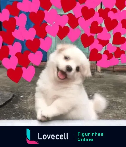 Cachorro branco pequeno e peludo sorrindo com corações rosa e vermelho ao fundo