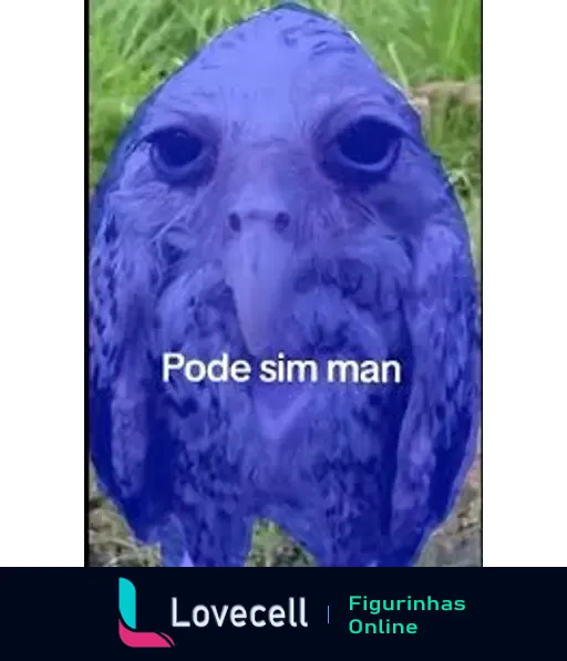 Imagem de um pássaro com um efeito de cor azul, contendo a frase 'Pode sim man' em letras brancas sobre o corpo do animal.