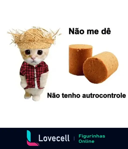 Gato com chapéu de palha e camisa xadrez pedindo para não dar doce típico de festa junina por falta de autocontrole