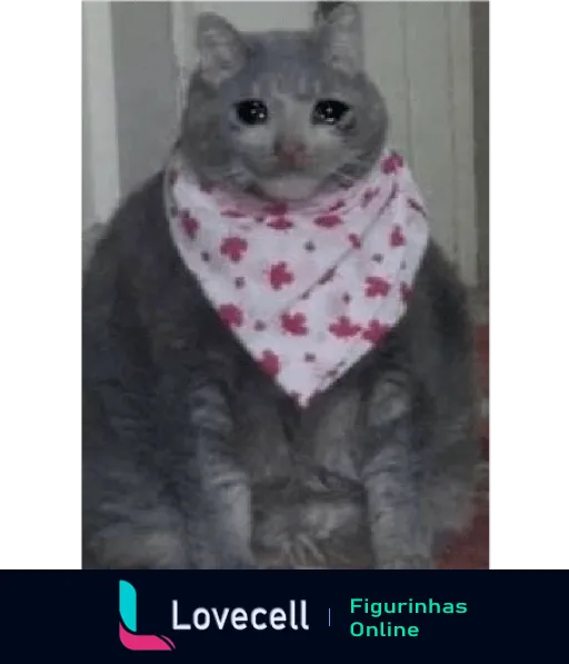 Gato cinza usando bandana com estampa de corações vermelhos, sentado e olhando para a câmera com expressão tranquila