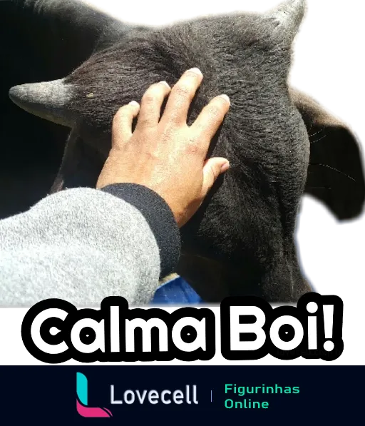 Figurinha mostrando uma mão humana acariciando a cabeça de um boi com o texto 'Calma Boi!' para transmitir humor e tranquilidade em conversas tensas