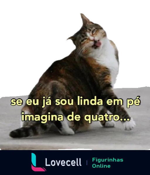 Um gato olhando para a câmera com uma expressão divertida, acompanhado do texto 'se eu já sou linda em pé imagina de quatro...'.