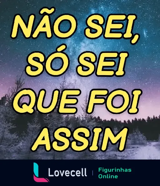 Figurinha com frase engraçada 'Não sei, só sei que foi assim' em um fundo de uma noite estrelada na floresta.