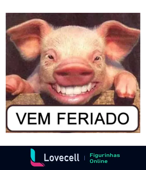 Imagem de um porquinho sorridente com a frase 'Vem Feriado' escrita embaixo