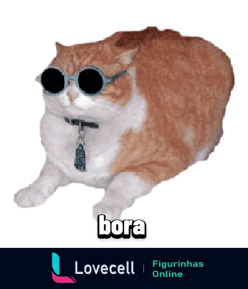 Gato laranja e branco usando óculos escuros com a palavra 'bora' no centro, sentado descontraído e com vibe de aventura