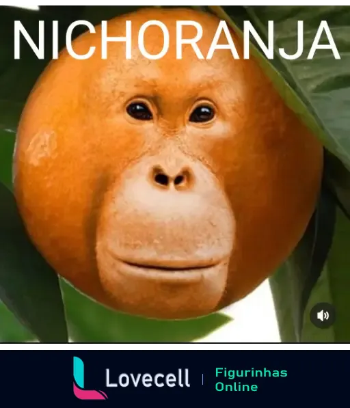 Imagem de uma laranja com um rosto de macaco, com a palavra 'NICHORANJA' escrita em cima. Figurinhas criativas e divertidas.