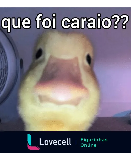 Figurinha de WhatsApp com pato surpreso e texto humorístico 'Que foi carai??', expressando surpresa ou incredulidade