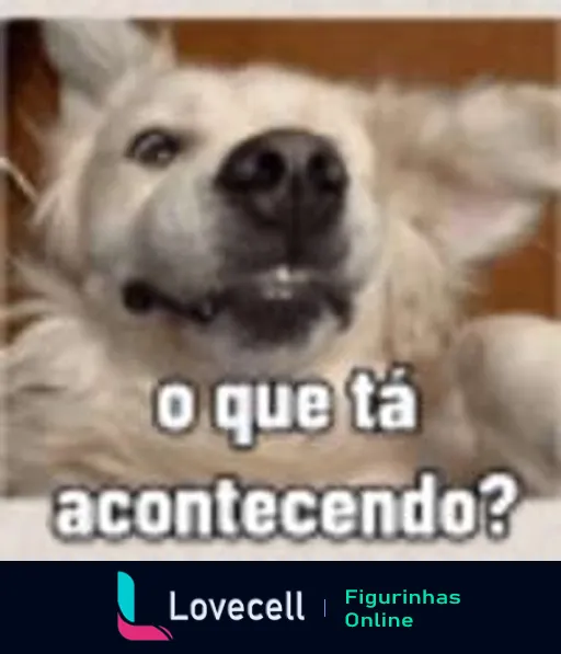 Cachorro de pelagem clara deitado com cabeça inclinada e expressão confusa, com legenda 'o que tá acontecendo?'