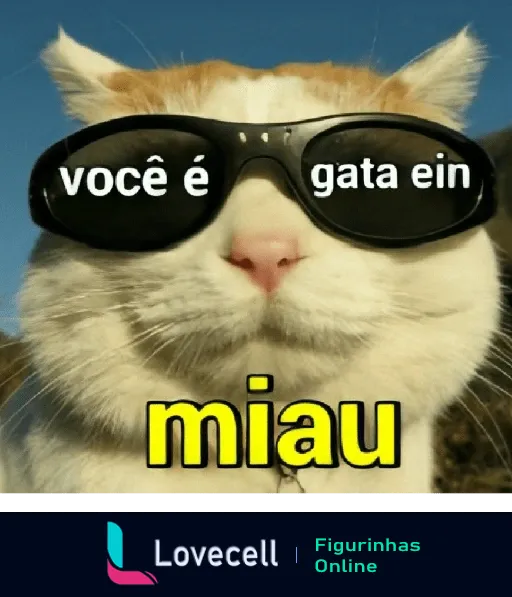 Figurinha de um gato laranja e branco usando óculos escuros com o texto 'você é gata ein miau', expressando confiança e humor