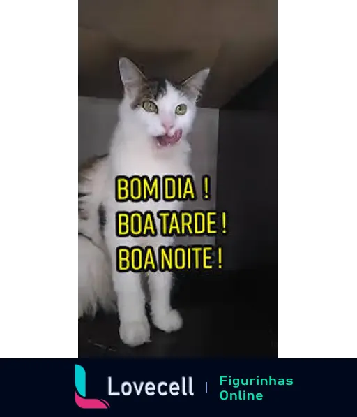 Um gato de pelagem branca e marrom está com a boca aberta, possivelmente falando. Há texto visível: 'BOM DIA ! BOA TARDE ! BOA NOITE !'.