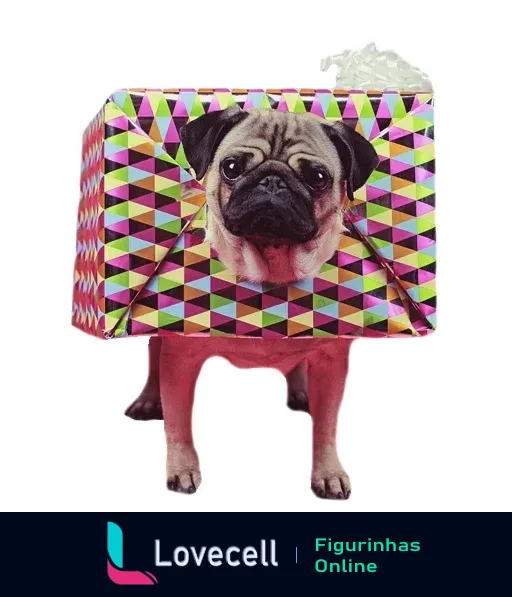 Pug adorável vestido com caixa de presente colorida com padrão geométrico e laço branco, olhando curiosamente para a câmera