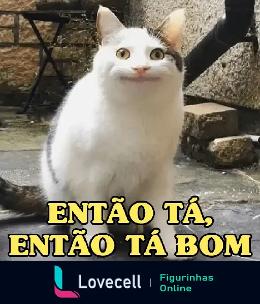 Imagem engraçada de um gato com expressão facial única, acompanhado do texto 'Então tá, então tá bom'.