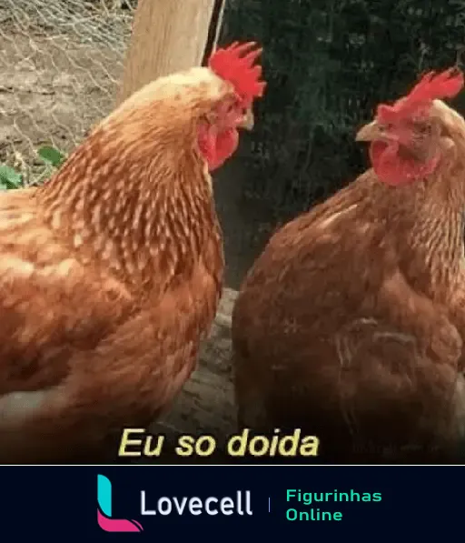 Figurinha de WhatsApp engraçada com galinha reflexiva e texto 'Eu sou doida'.