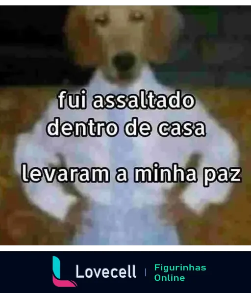 Imagem de um cachorro vestido com camisa e gravata, com o texto: 'fui assaltado dentro de casa, levaram a minha paz'.