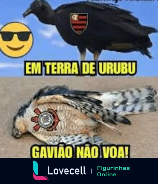 Urubu com escudo do Flamengo em pé sobre gavião caído com símbolos do Corinthians, representando humoristicamente a rivalidade no futebol