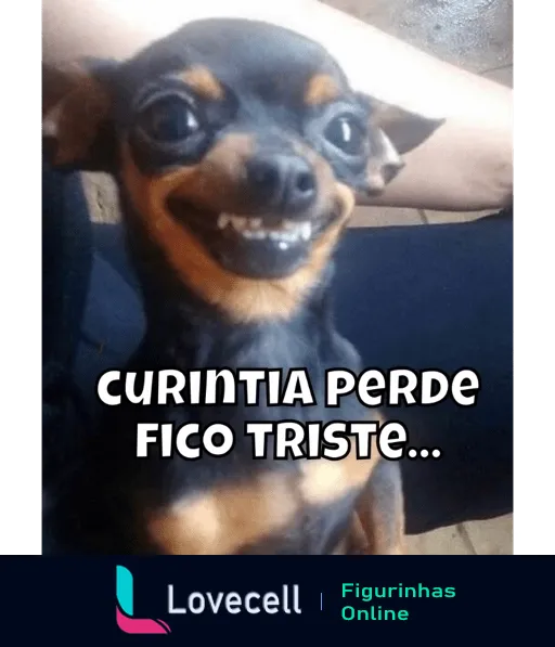 Cachorro da raça Chihuahua sorrindo exageradamente com texto 'Curintia perde fico triste...' expressando tristeza pela derrota do Corinthians