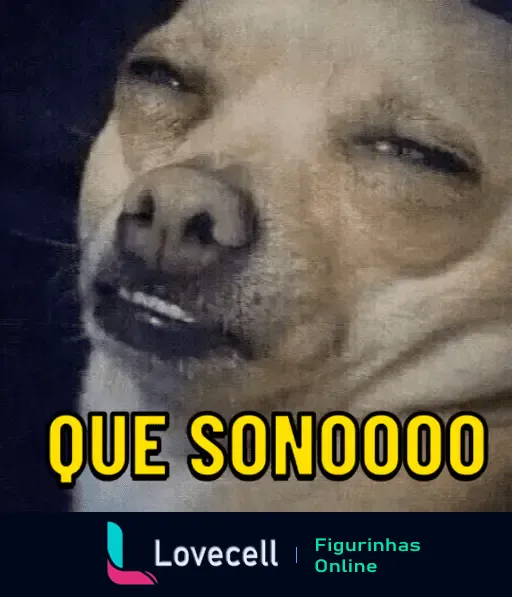 Imagem de um cachorro com expressão sonolenta e olhos semicerrados com a legenda 'QUE SONOOOOO' em letras amarelas.