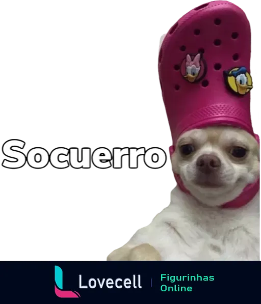 Sticker de WhatsApp mostrando Chihuahua com touca rosa em formato de Crocs e decorada com jibbitz de personagens animados, com a palavra 'Socuerro' no topo