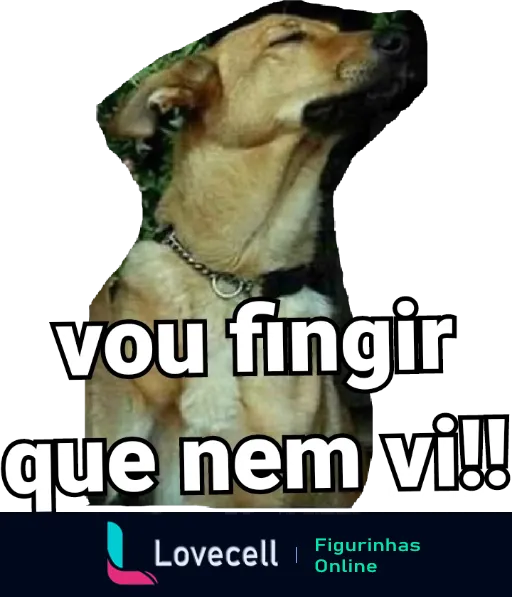 Cachorro de olhos fechados com galho de folhas no pescoço e a frase 'vou fingir que nem vi!!' em tom humorístico